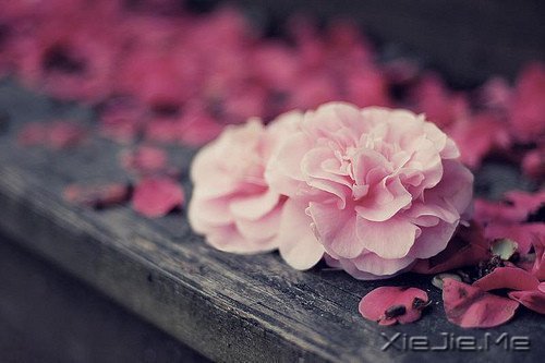 �簲���������Ŭ������Լ�ϲ�����Ǹ��Լ� (8)